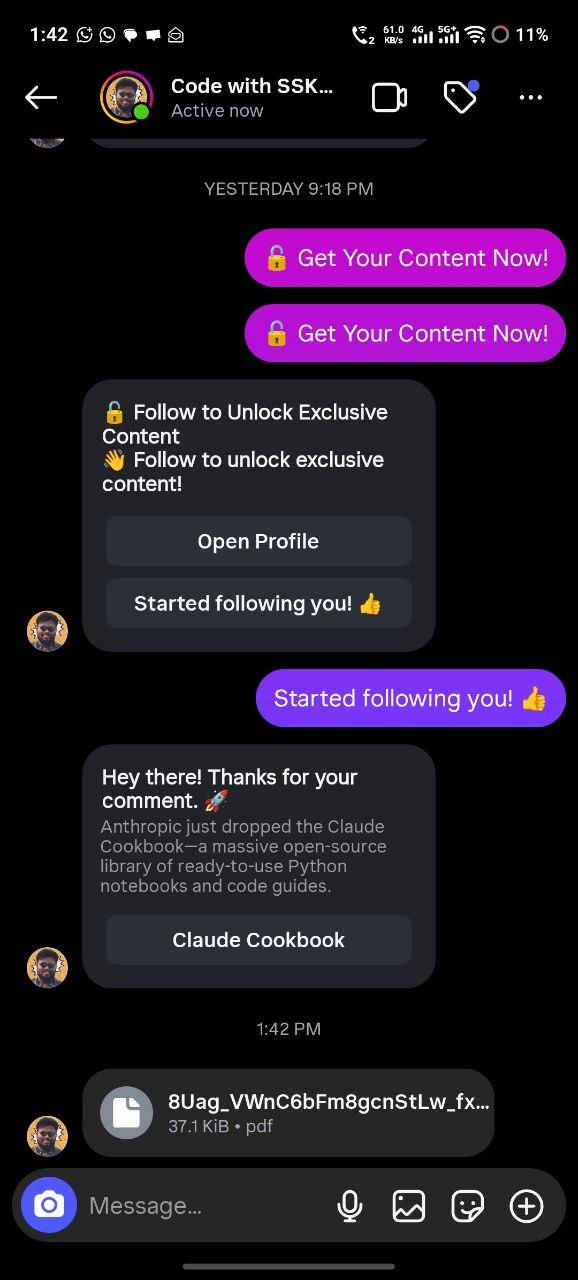 Instagram mobile chat showing a received PDF brochure file in the conversation thread