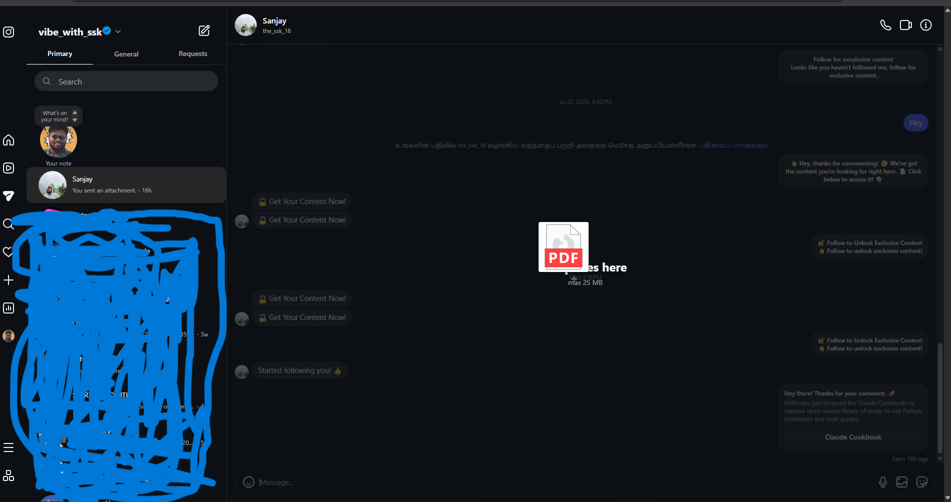 Instagram desktop DM showing a PDF brochure dropped into the chat and sent