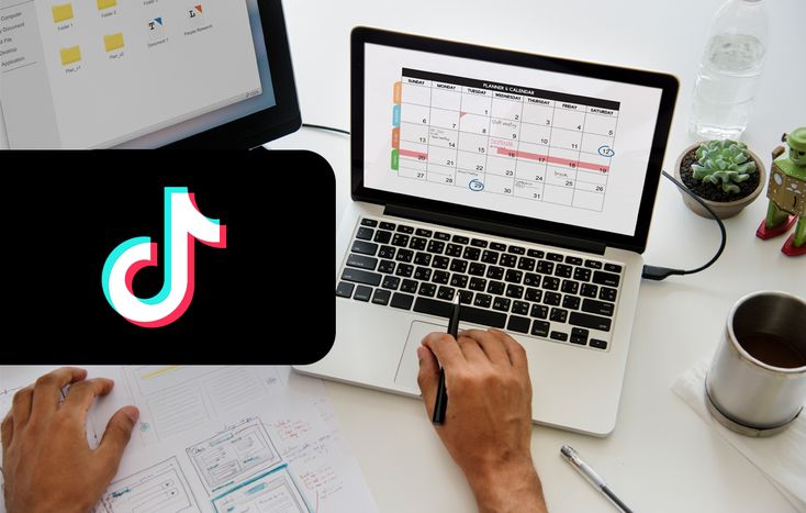 12 Best TikTok Schedulers Compared: Auto-Post, Watermarks, Pricing (2026)