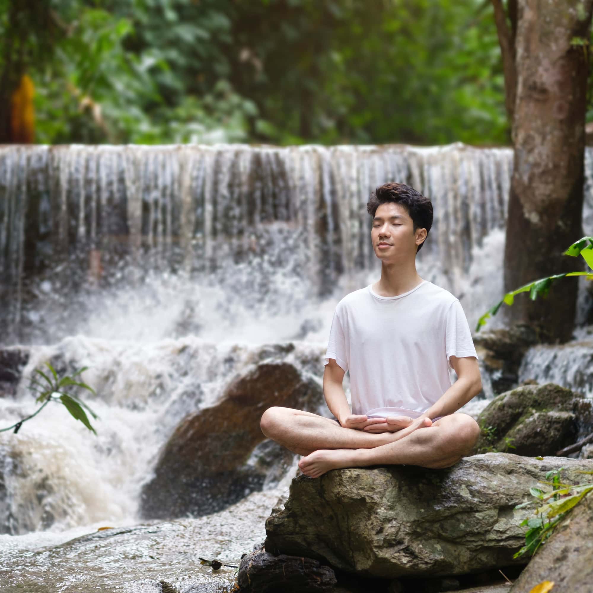 A man sits cross-legged on a rock meditating with eyes closed beside a flowing waterfall in a lush green forest.