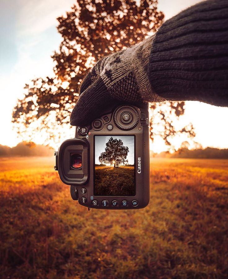 A hand in a knit glove holds a Canon camera, capturing a sunset over a field with a large tree. The camera screen perfectly frames the tree with the sun shining through its branches.