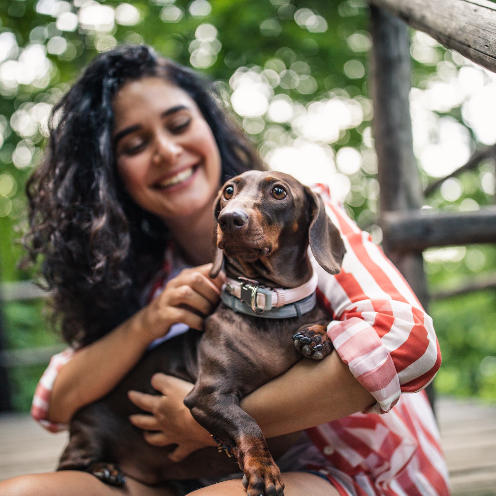 A smiling woman with curly hair sits outdoors holding and gently petting a small brown dachshund wearing a collar, with greenery and a wooden railing in the background.