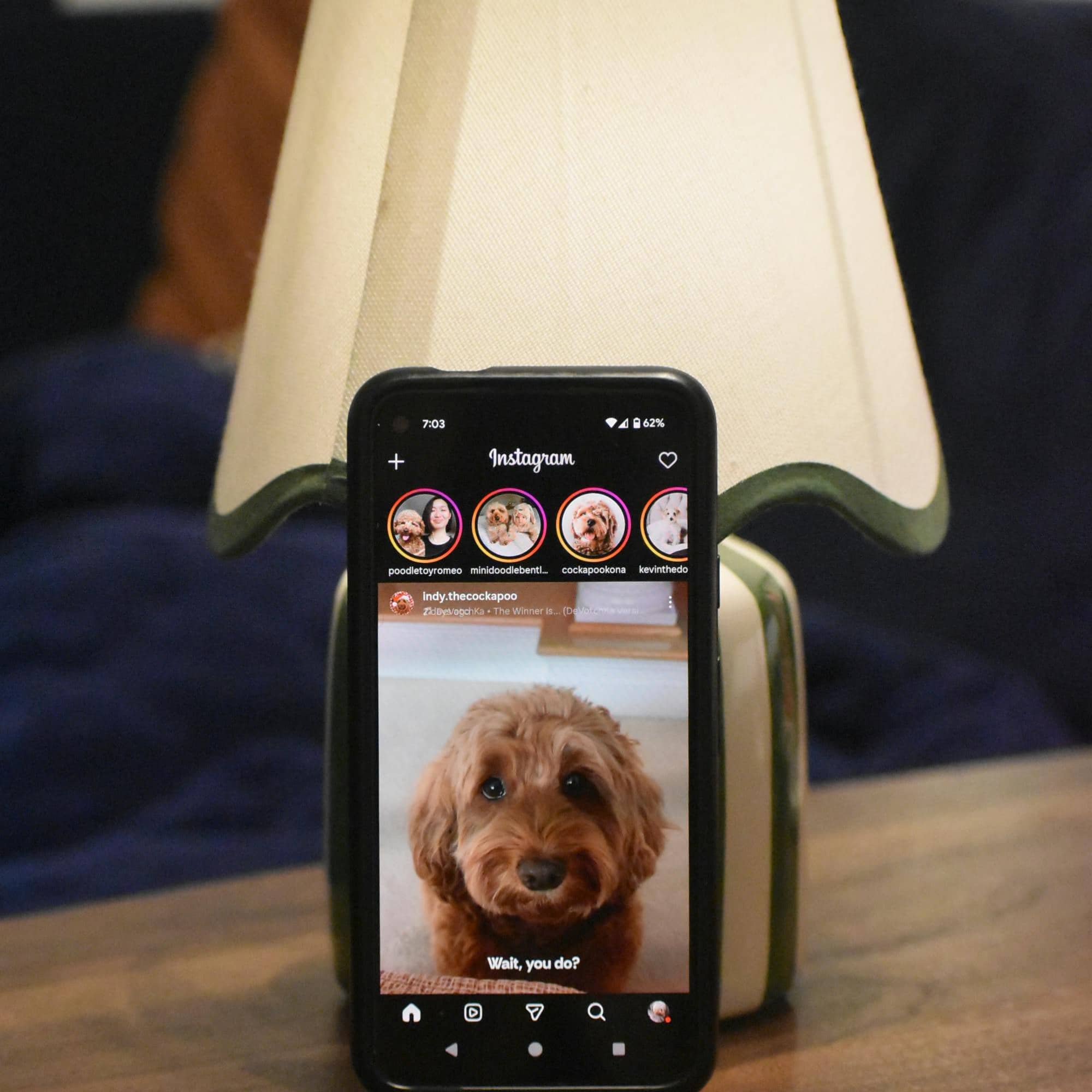 A smartphone placed against a table lamp displays the Instagram app, showing a photo of a small brown dog with text on the post, while the surrounding room is softly lit.